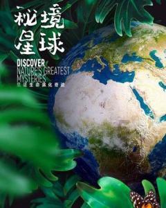 探知吃了这么多年冰冻带鱼,为何从买不到活的?渔民:活的你吃不起! | 问答互动平台