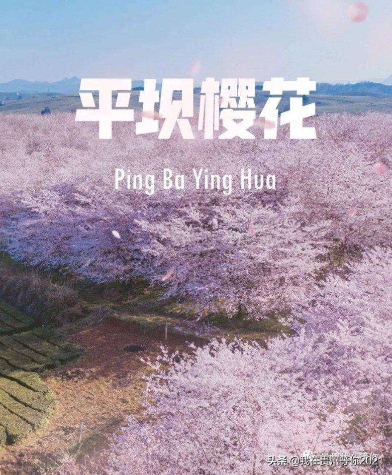 逃离小怪世界