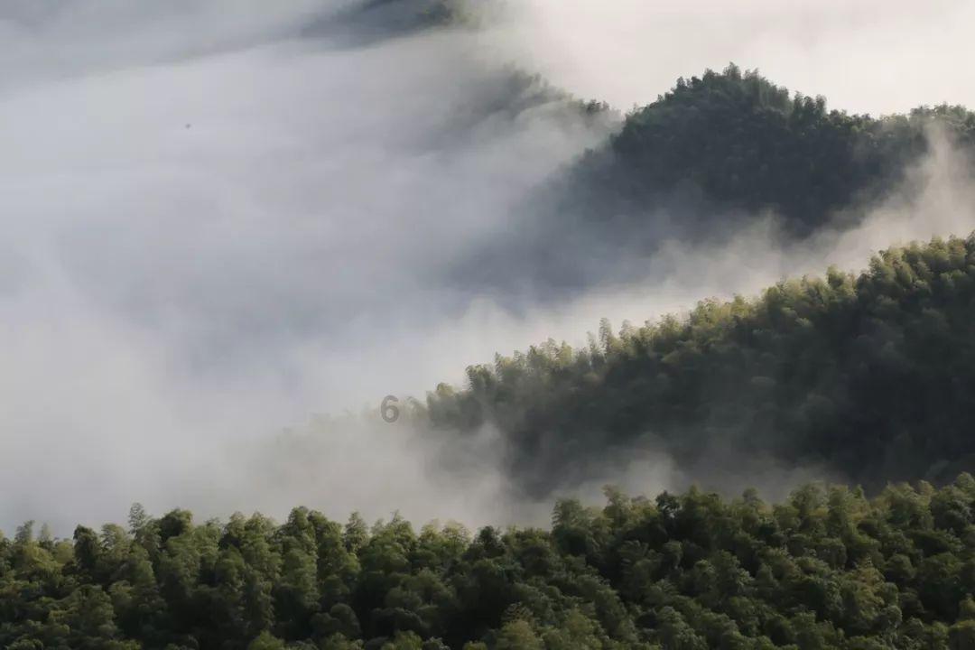 自热火锅和自嗨锅是不是一个意思？游戏画面
